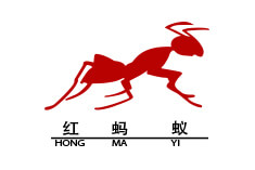 红蚂蚁